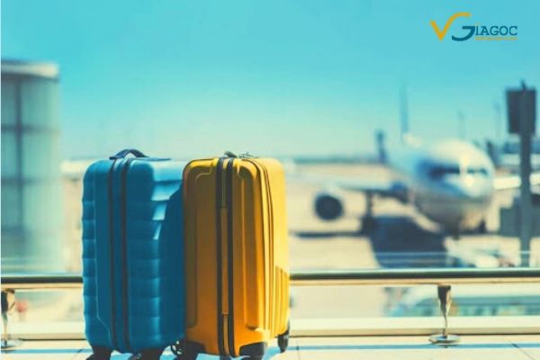 Quy định về hành lý khi  đi máy bay Vietnam Airlines
