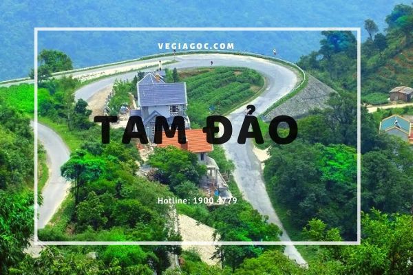 Review địa điểm du lịch Tam Đảo