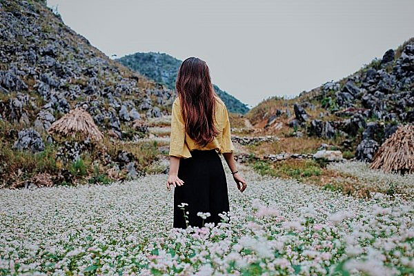 Những Cánh đồng hoa đẹp mê lòng người ở Việt Nam
