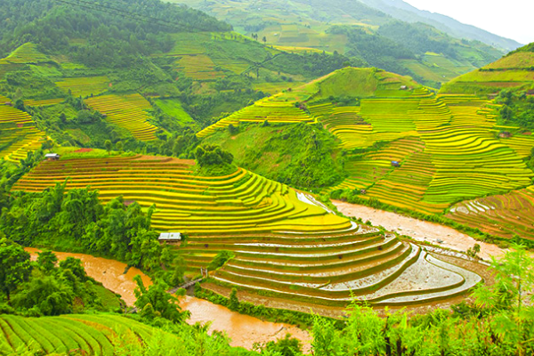 TIPS 10 GỢI Ý CÁC HOẠT ĐỘNG CHỐNG BUỒN TẺ ĐỂ PHÒNG DỊCH TẠI NHÀ