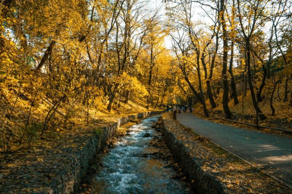 Almaty 2026: Điểm Đến Mới Lạ D&agrave;nh Cho T&iacute;n Đồ Du Lịch Trung &Aacute;