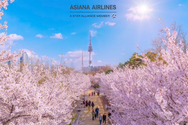 Asiana Airlines ưu đ&atilde;i m&ugrave;a xu&acirc;n: Giảm 7% v&eacute; bay H&agrave;n Quốc