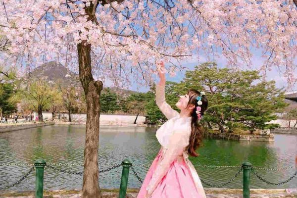 Asiana Airlines ưu đ&atilde;i m&ugrave;a xu&acirc;n: Giảm 7% v&eacute; bay H&agrave;n Quốc