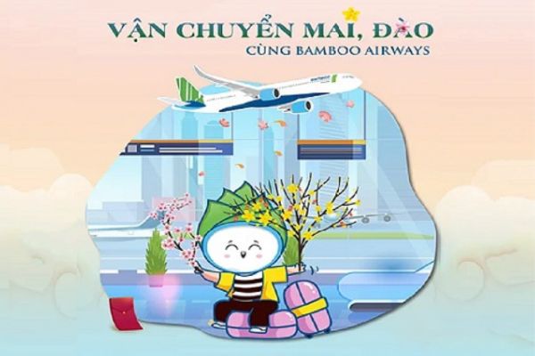 Bamboo Airways Mở Dịch Vụ Vận Chuyển Đào, Mai Tết Ất Tỵ 2025