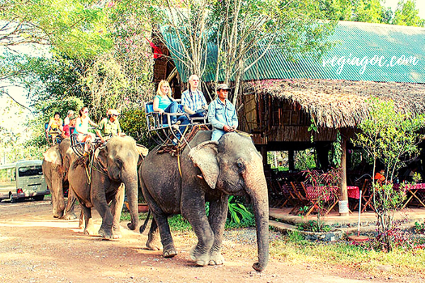 Những địa điểm check in không thể bỏ qua khi du lịch Ban Mê Thuột