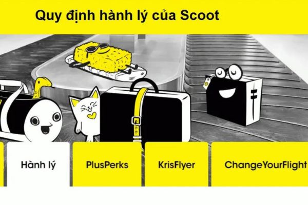 Bay Cao Cùng Scoot Air Từ Việt Nam Đến Singapore