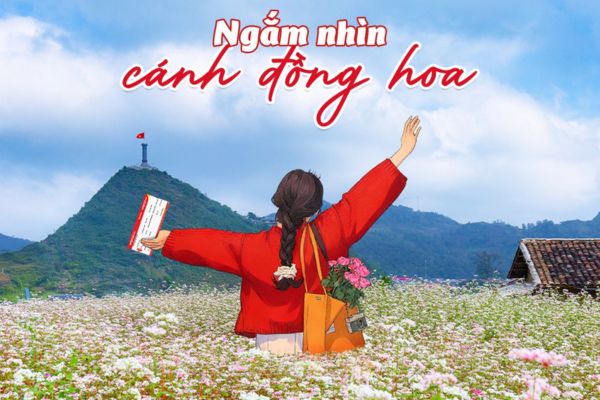 Bay cùng Vietjet chạm mùa hoa Tam Giác Mạch rực rỡ tại Hà Giang