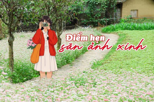 Bay cùng Vietjet chạm mùa hoa Tam Giác Mạch rực rỡ tại Hà Giang