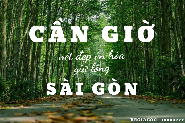 Biển Cần Giờ Nét Đẹp Ôn Hòa Giữa Lòng Sài Gòn