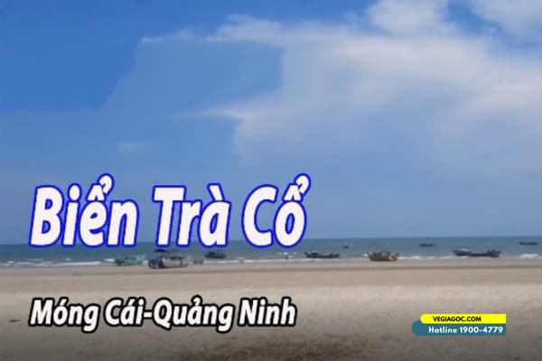 Biển Trà Cổ Móng Cái phá đảo bãi biển đẹp nhất Quảng Ninh