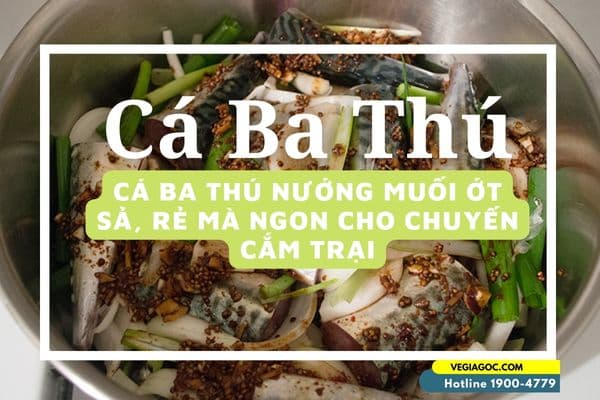 Cá ba thú nướng muối ớt sả rẻ mà ngon cho chuyến cắm trại