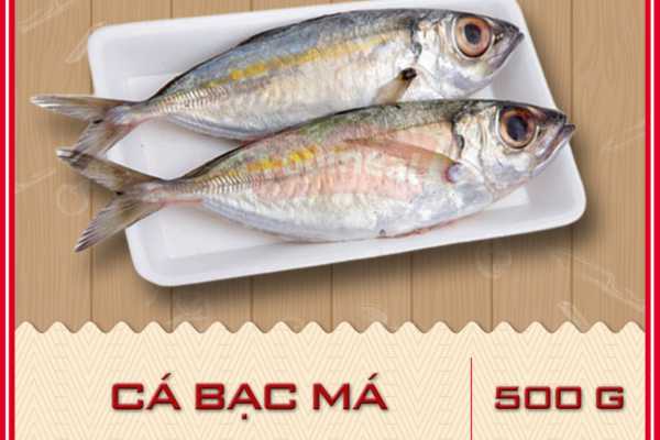 Cá bạc má trong ẩm thực món ăn ngon và cách chế biến