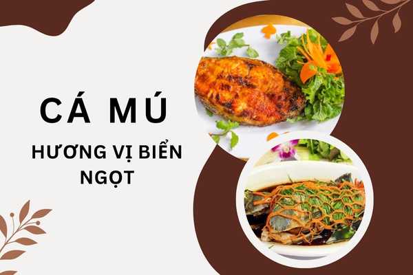 Cá Mú Phú Quốc Món Ngon Từ Hương Vị Biển Ngọt