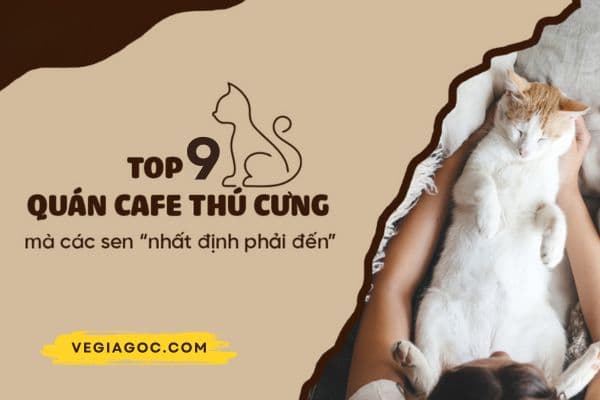 Kinh Nghiệm Mở Quán Cà Phê Thú Cưng - Bí Quyết Thành Công Vượt Trội