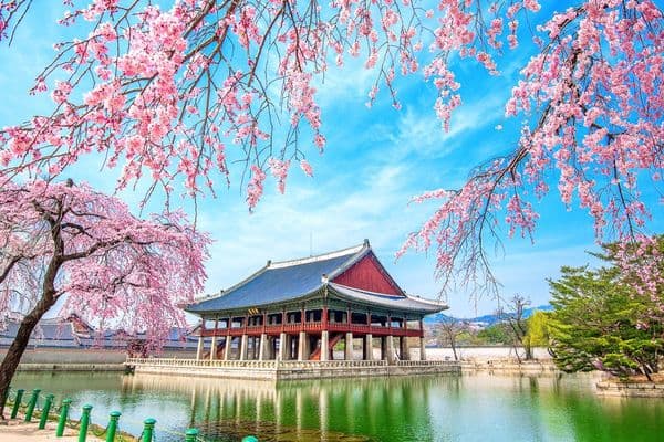 Cẩm nang du lịch Hàn Quốc xứ sở Kim Chi mà bạn cần biết