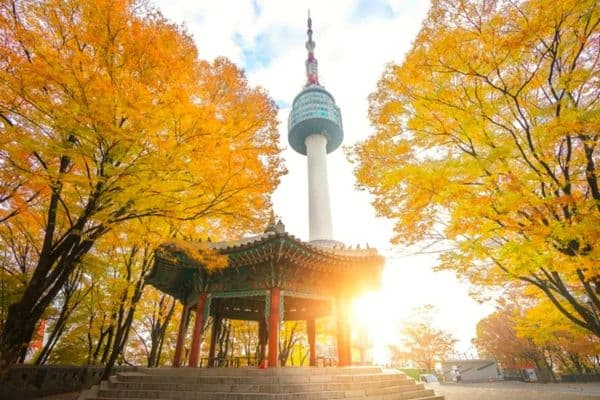 Cẩm nang du lịch Hàn Quốc xứ sở Kim Chi mà bạn cần biết