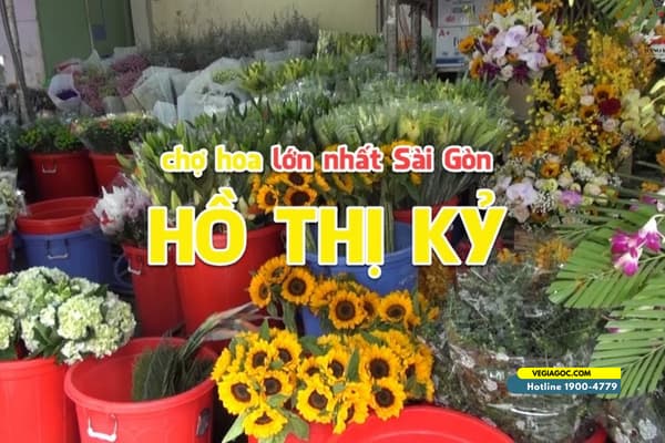 Náo Động Chợ Ẩm Thực Hồ Thị Kỷ quận 10 TPHCM