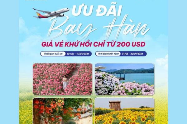 Cùng Asiana Airlines đón mùa hè tại Hàn Quốc chỉ từ 200 USD