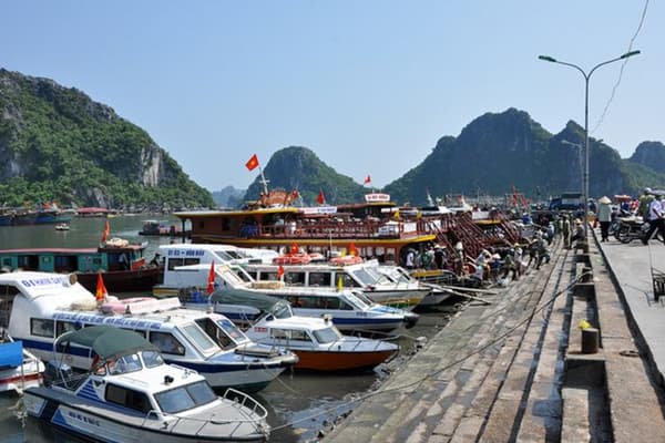 Bỏ Túi Kinh Nghiệm Du Lịch Đảo Ngọc Vừng