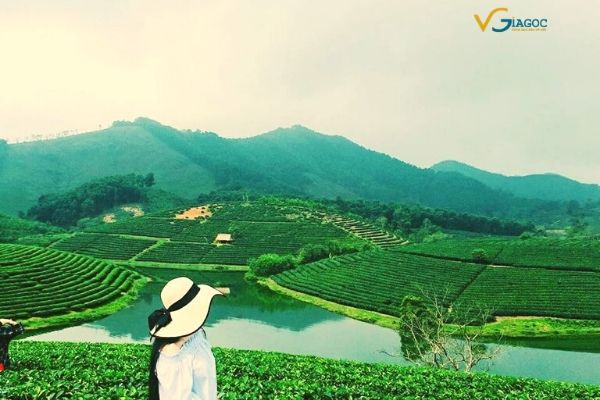 Đặt vé máy bay giá rẻ đi Vinh từ 399 000 ngàn đồng