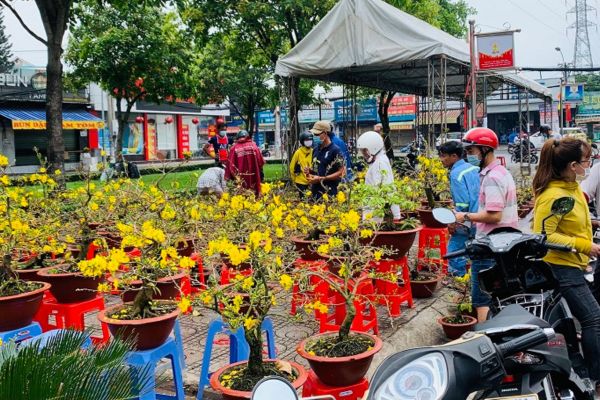 Đặt Vé Máy Bay Ngày Mùng 1 Tết Giá Rẻ Nhất