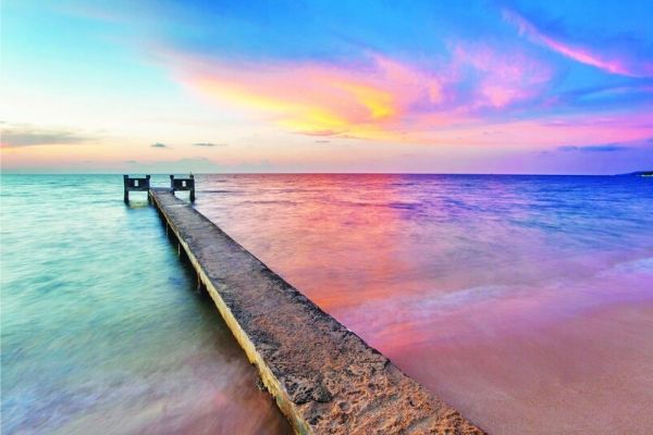 Cùng nhau chạy trốn dịch corona
