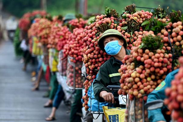 Điểm Danh 9 Đặc Sản Bắc Giang