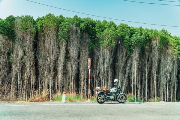 Du lịch đả Thạnh An t&igrave;m về b&igrave;nh y&ecirc;n giữa l&ograve;ng S&agrave;i G&ograve;n