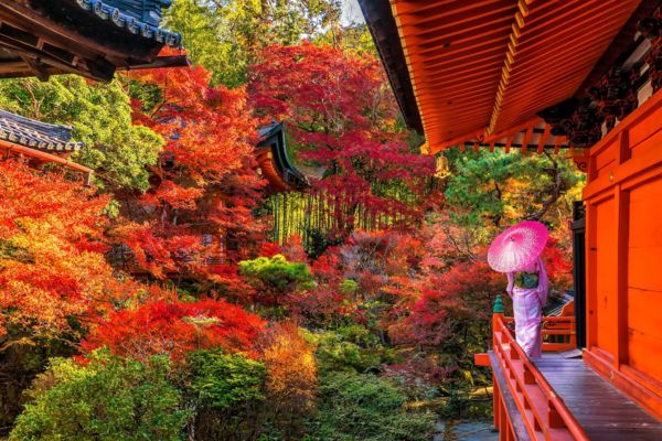 Du lịch Nhật Bản giá vé khứ hồi chỉ từ 200 USD All Nippon Airways