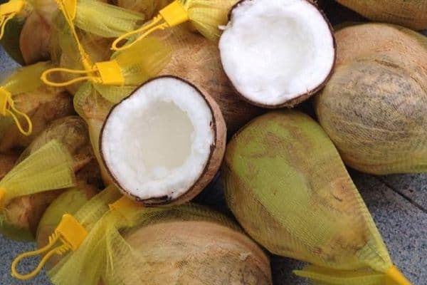 Du lịch về sứ dừa sáp thưởng thức đặc sản dừa sáp dằm