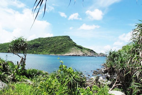 Giá vé máy bay khứ hồi đi Côn Đảo Vietnam Airlines