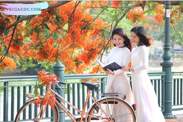 Giá vé máy bay khứ hồi đi Hải Phòng Bamboo Airways