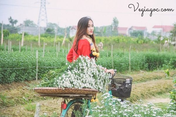 Giá vé máy bay khứ hồi đi Hải Phòng Viejet