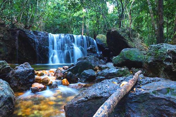 Giá vé máy bay khứ hồi đi Phú Quốc Vietnam Airlines