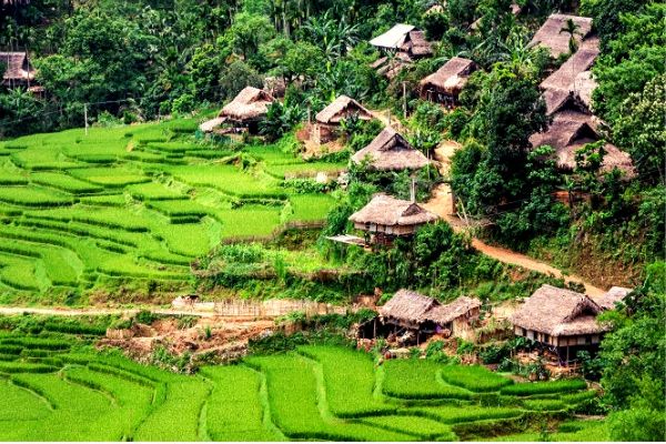 Giá vé máy bay khứ hồi đi Thanh Hóa Bamboo Airways
