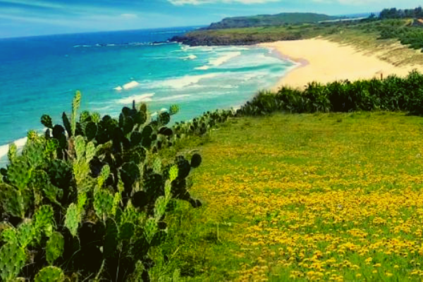 Giá vé máy bay khứ hồi Hà Nội Tuy Hòa