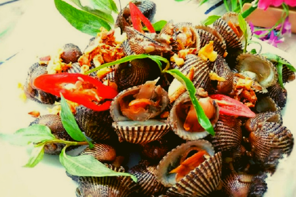 Giá vé máy bay khứ hồi Hà Nội Tuy Hòa