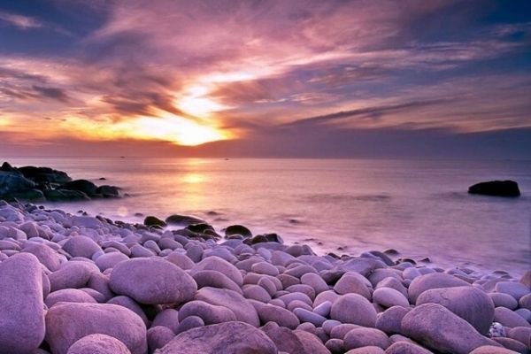 Cùng nhau chạy trốn dịch corona