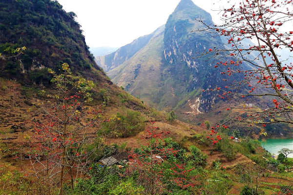 Hà Giang tháng 3 rực rỡ mùa hoa gạo