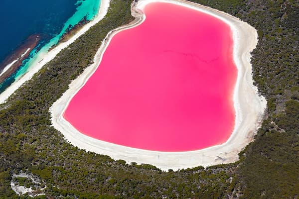 Khám phá hồ Hillier hồ nước màu hồng nổi tiếng tại Úc