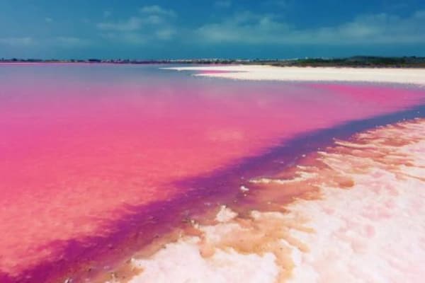 Khám phá hồ Hillier hồ nước màu hồng nổi tiếng tại Úc