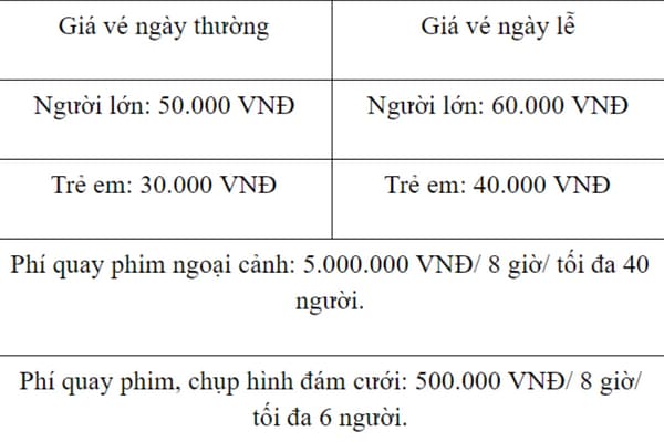 Khám Phá Khu Du Lịch Madagui Lâm Đồng Cực Hấp Dẫn