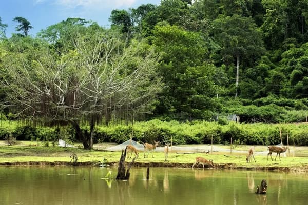 Khám Phá Khu Du Lịch Madagui Lâm Đồng Cực Hấp Dẫn