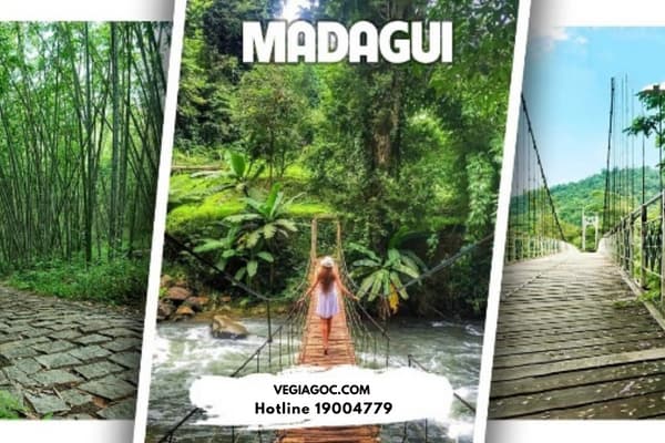 Khám Phá Khu Du Lịch Madagui Lâm Đồng Cực Hấp Dẫn