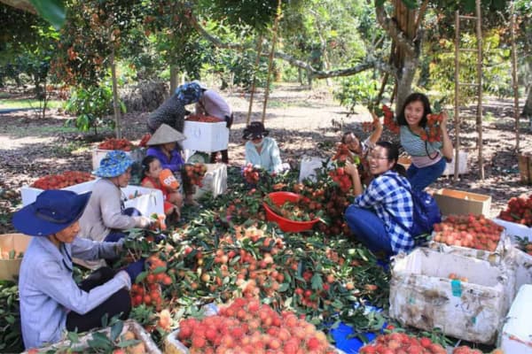 Khu du lịch Bến Tre