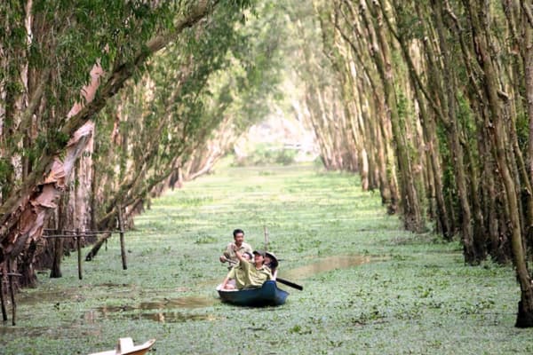 Khu Du Lịch Sinh Thái Đồng Sen Tháp Mười