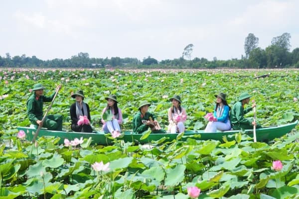 Khu Du Lịch Sinh Thái Đồng Sen Tháp Mười