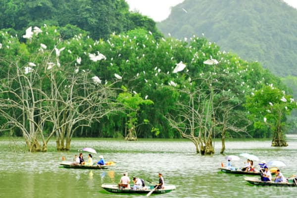 Khu sinh thái Thung Nham