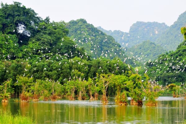 Khu sinh thái Thung Nham