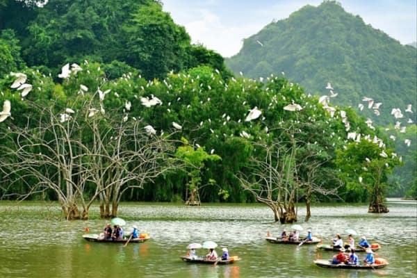 Khu sinh thái Thung Nham